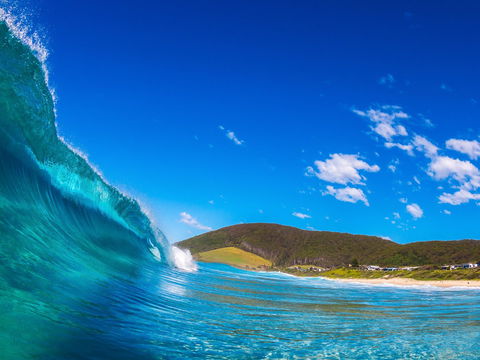 Blueys Beach, Pacific Palms - Accommodation Mount Tamborine 0