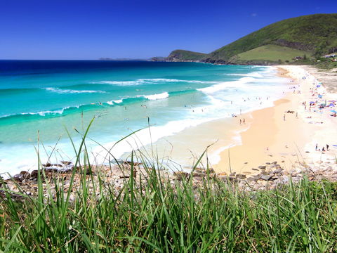 Blueys Beach, Pacific Palms - Accommodation Mount Tamborine 1