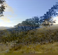 Bunyip State Park - Accommodation Mount Tamborine