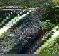 Carrington Falls - Accommodation Mount Tamborine