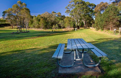 Cecil Hoskins Picnic Area - Accommodation Mount Tamborine 0