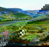 Chittering - Accommodation Mount Tamborine