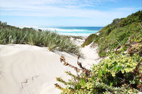 Coffin Bay National Park - Accommodation Mount Tamborine 1
