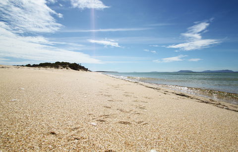 Coffin Bay National Park - Accommodation Mount Tamborine 2