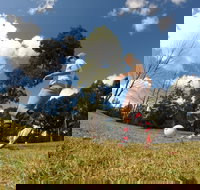 Colonial Golf and Footgolf Course - Accommodation Mount Tamborine