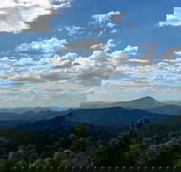 Collombatti - Accommodation Mount Tamborine