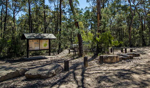 Couridjah Corridor Walk - Accommodation Mount Tamborine 0