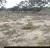 Culgoa Connellys Track - Accommodation Mount Tamborine
