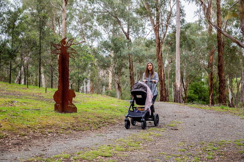 Currawong Bush Park - Accommodation Mount Tamborine 0