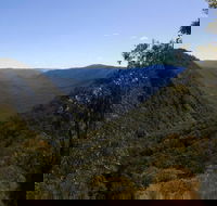 Escarpment Walk - Accommodation Mount Tamborine