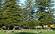 Esplanade Reserve - thumb 0