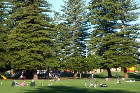 Esplanade Reserve - Accommodation Mount Tamborine 0