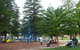 Esplanade Reserve - thumb 1