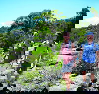 Eukey - Accommodation Mount Tamborine
