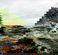 Glenrock State Conservation Area - Accommodation Mount Tamborine