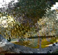 Goomburra - Accommodation Mount Tamborine