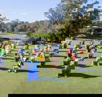 Hello Koalas Sculpture Trail - Accommodation Mount Tamborine