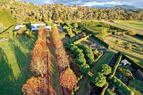 High Country Maze - Accommodation Mount Tamborine 1