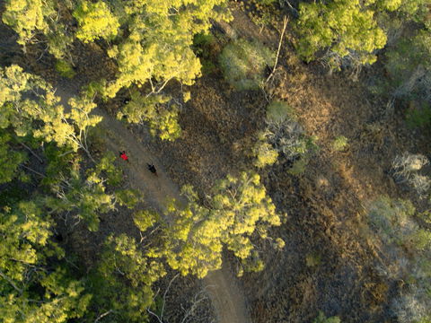 Hillview Drive Reserve - Accommodation Mount Tamborine 2