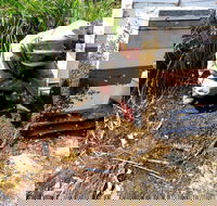 Honey Tasmania - The Beehive - Accommodation Mount Tamborine