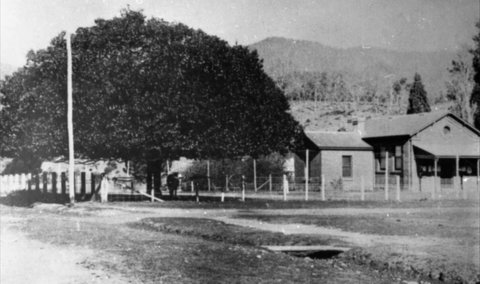 Jamieson Museum - Accommodation Mount Tamborine 0