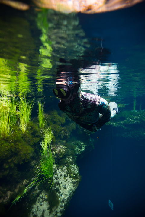 Kilsby Sinkhole - Accommodation Mount Tamborine 2