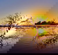 Lake Dyer - Accommodation Mount Tamborine