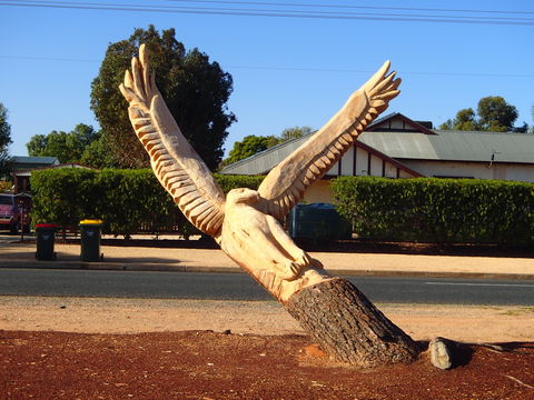 Loxton Tree Sculptures - Accommodation Mount Tamborine 0
