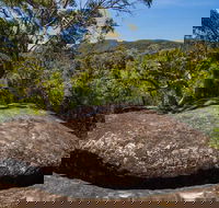 Marramarra Ridge to Smugglers Ridge walking track - Accommodation Mount Tamborine