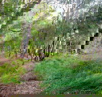 Meroo Lake walking track - Accommodation Mount Tamborine