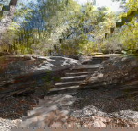 Mooney Mooney nature walk - Accommodation Mount Tamborine
