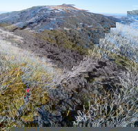 Mt Buller Bike Park - Accommodation Mount Tamborine