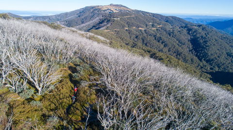 Mt Buller Bike Park - Accommodation Mount Tamborine 0