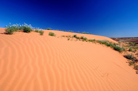 Munga-Thirri - Simpson Desert Conservation Park And Regional Reserve - Accommodation Mount Tamborine 1