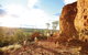 Natural Sciences Loop - thumb 0