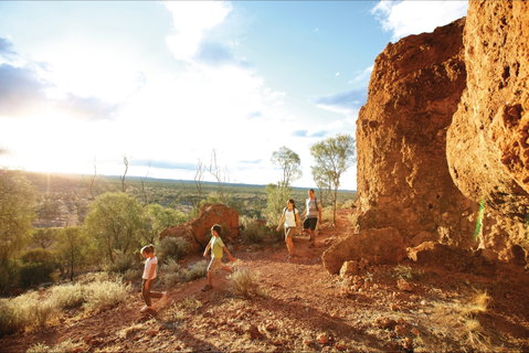 Natural Sciences Loop - Accommodation Mount Tamborine 0