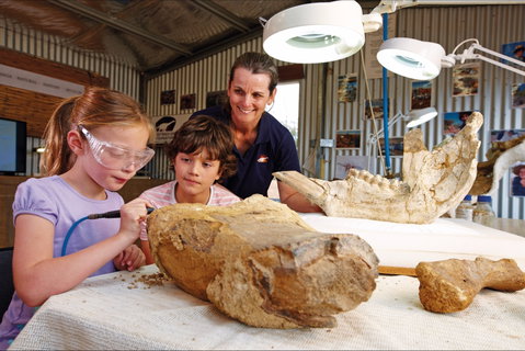 Natural Sciences Loop - Accommodation Mount Tamborine 1