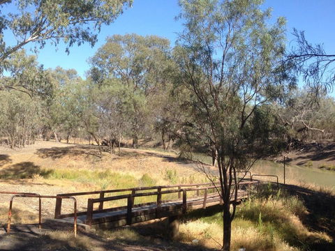 Norman Tracker Walford Walkway - Accommodation Mount Tamborine 0