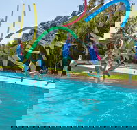 Oaklands War Memorial Swimming Pool - Accommodation Mount Tamborine