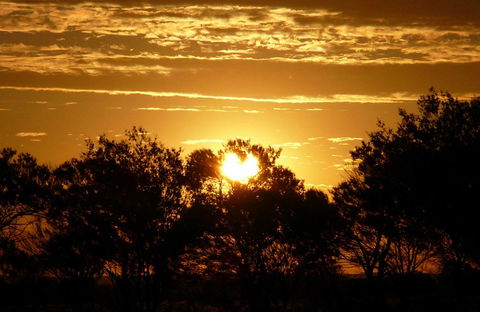 Paroo-Darling National Park - Accommodation Mount Tamborine 0
