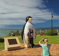Penguin