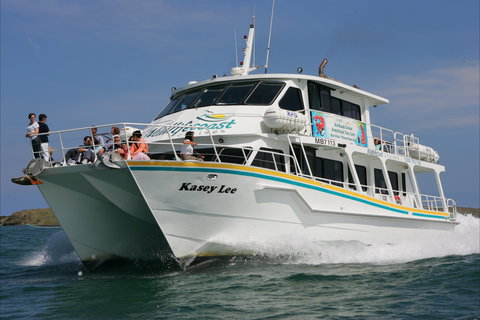 Phillip Island Experience - Accommodation Mount Tamborine 2