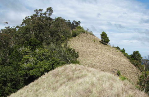Pieries Peak Walking Track - Accommodation Mount Tamborine 0
