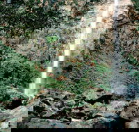 Rawson Falls Walk - Accommodation Mount Tamborine
