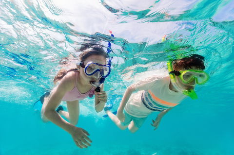 Snorkel Hat Head Creek - Accommodation Mount Tamborine 0
