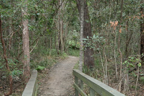 Springwood Conservation Park - Accommodation Mount Tamborine 0