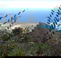 Strzelecki Peaks Great Short Walk - Accommodation Mount Tamborine