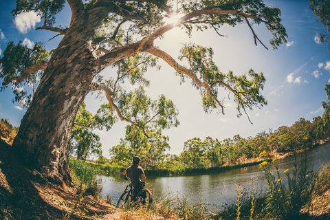 Sturt Gorge Recreation Park - Accommodation Mount Tamborine 0