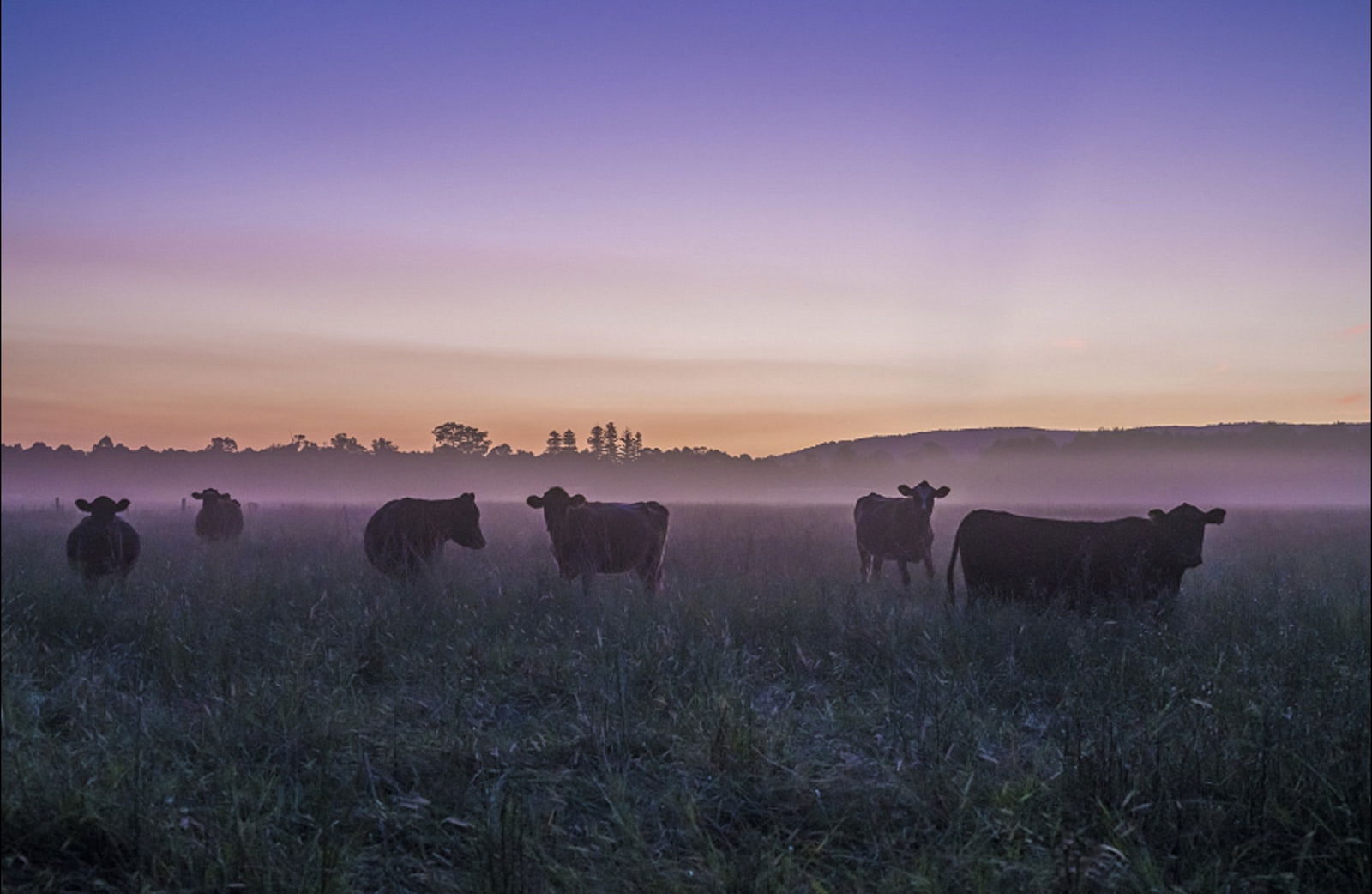 Tapitallee NSW Accommodation Mount Tamborine