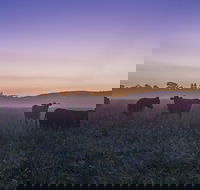 Tapitallee - Accommodation Mount Tamborine